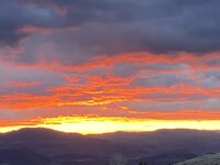 IMG_6545.jpeg