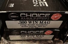 IMG_0971.jpeg