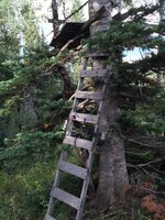 IMG_1097.jpeg