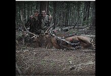 IMG_0473.jpeg