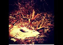 IMG_0466.jpeg