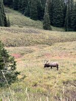 IMG_3830.jpeg