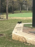 IMG_3146.jpeg