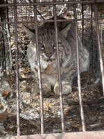 IMG_1791.jpeg