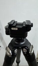 IMG_4484.jpeg