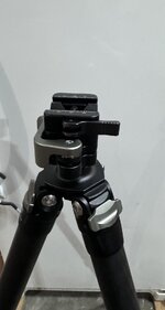 IMG_4483.jpeg