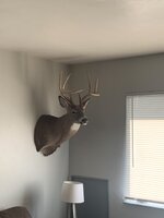 IMG_1561.jpeg