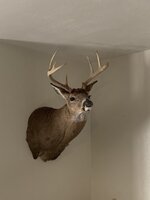 IMG_1560.jpeg