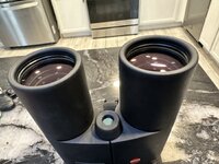 IMG_4757.jpeg