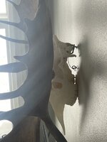 IMG_8039.jpeg