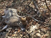 IMG_3250.jpeg
