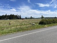 IMG_0473 - Copy.jpeg
