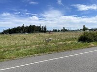 IMG_0474 - Copy.jpeg