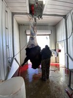 IMG_7318.jpeg
