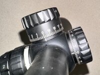 IMG_6980.jpeg