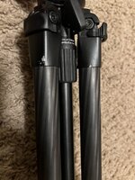 IMG_0597.jpeg