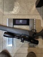 IMG_3237.jpeg IMG_3237.jpeg