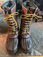 IMG_5487.jpeg