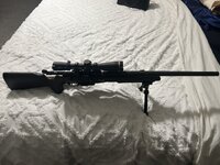 IMG_5747.jpeg