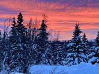 IMG_9405.jpeg