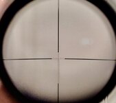 IMG_7033.jpeg