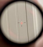 IMG_7063.jpeg