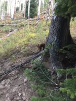 IMG_1933.jpeg