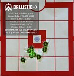 Ballistic-X-Export-2024-03-10 13:14:20.200527.jpg