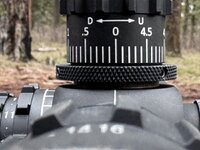 IMG_7169.jpeg