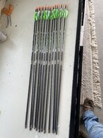 IMG_7937.jpeg