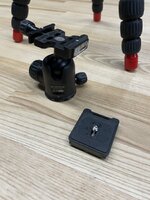 IMG_1555.jpeg