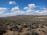 IMG_1344sas.jpg