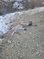 20240220_075736.jpg