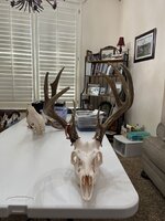 IMG_0616.jpeg