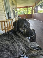 20230714_083504.jpg