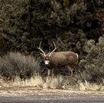 IMG_6092.jpeg