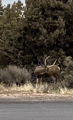IMG_6091.jpeg