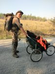 bear stroller2.jpg