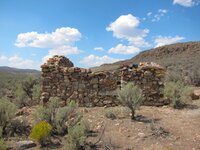 IMG_1342r.jpg