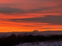 IMG_9108.jpeg