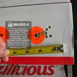 Ballistic-X-Export-2024-03-14 19_04_33.755781.jpg