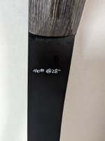 PXL_20240315_181751660.jpg