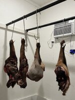 IMG_6776.jpeg