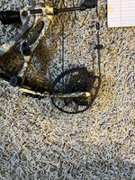 IMG_4793.jpeg