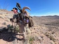 Aoudad 2024-2.jpg