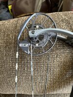 IMG_8237.jpeg