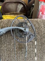 IMG_8239.jpeg