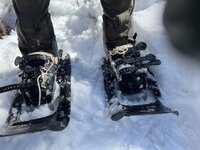 IMG_0812.jpeg
