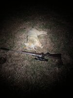 IMG_4036.jpeg