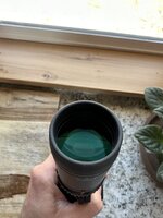 IMG_7171.jpeg